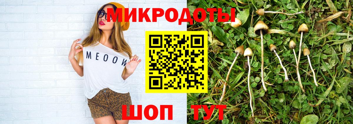 Гай  Псилоцибиновые грибы мицелий  Вход с VPN  Галлюциногенные грибы прущие грибы 